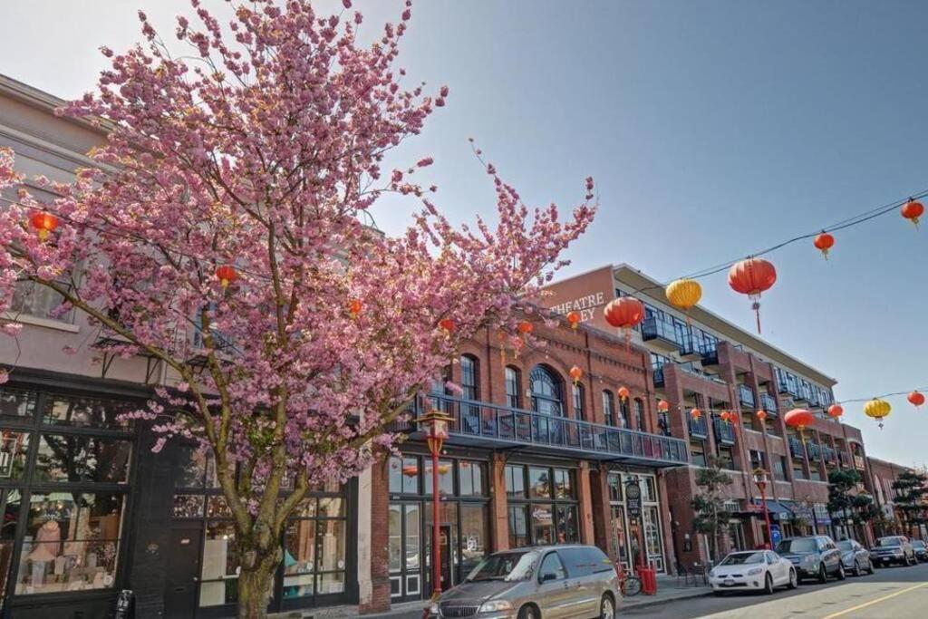 Clean 3Rd Floor Executive 1 Bedroom Apt In Old Town China Town Victoria Eksteriør billede